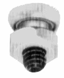 Flat Head Steel Clamp Cylinder Piston Button