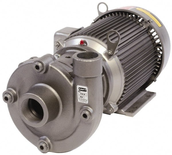 American Machine & Tool 3156-999-95 AC Straight Pump: 115/230V, 2 hp, 1 Phase, Cast Iron Housing, Stainless Steel Impeller 