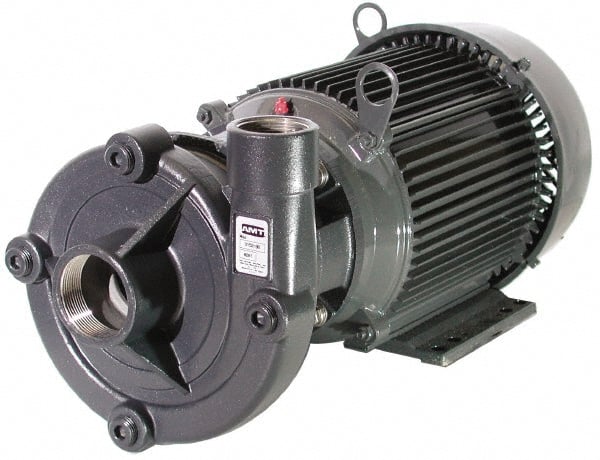 American Machine & Tool 3151-999-98 AC Straight Pump: 230/460V, 3 hp, 3 Phase, Stainless Steel Housing, Stainless Steel Impeller 