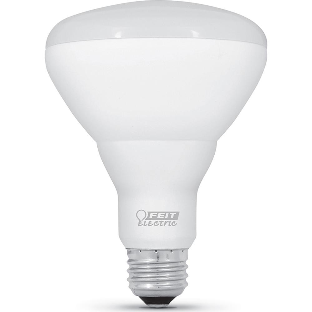 Lamp&Light Bulbs