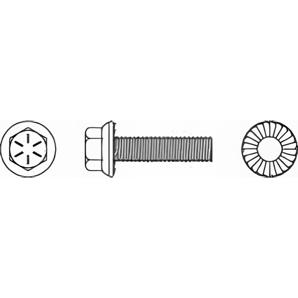 Value Collection 825356MSC Serrated Flange Bolt: 3/8-16 UNC, 1-3/4" Length Under Head, Fully Threaded Image