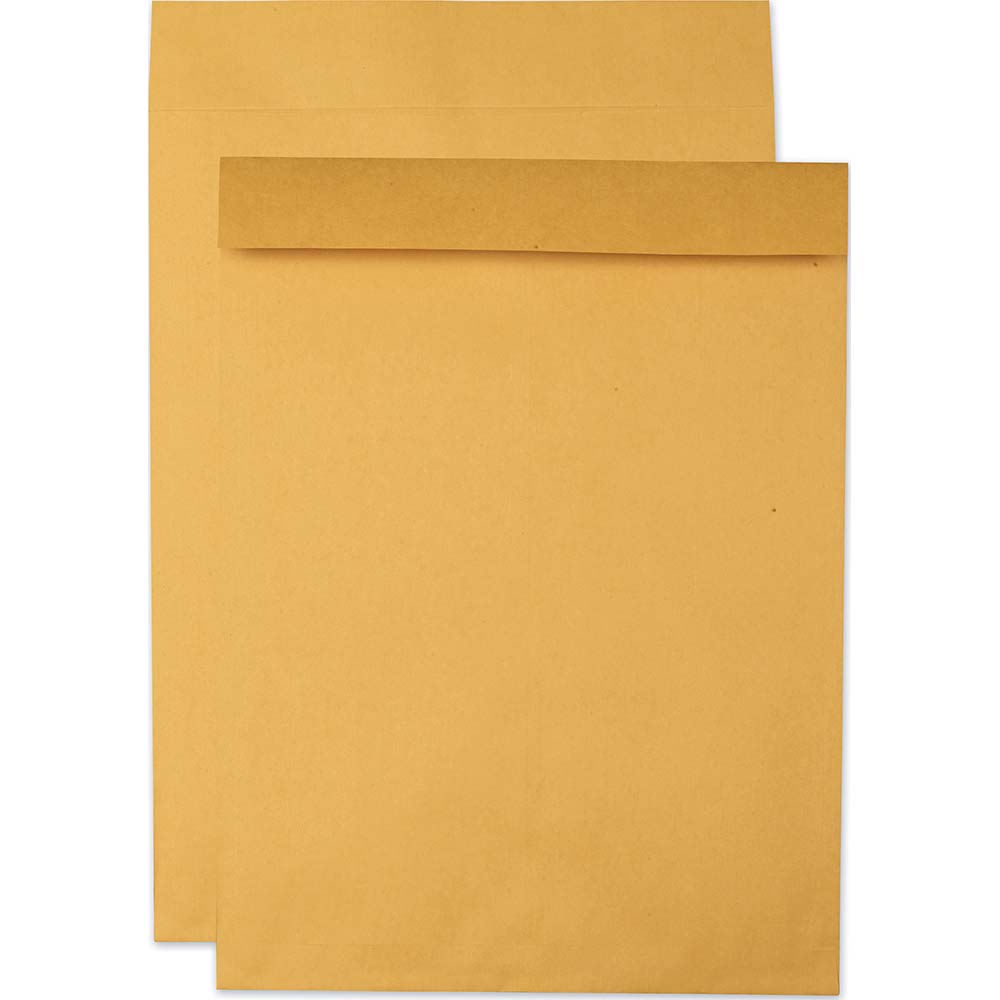 Quality Park Jumbo Envelope Mailer 22" OAW, 17" OAL MSC Industrial