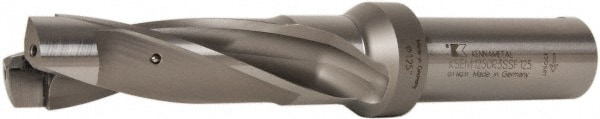 Replaceable-Tip Drill: 31.75 to 32 mm Dia, 96 mm Max Depth, 31.75 mm Weldon Flat Shank