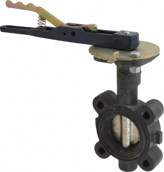 NIBCO NLG200D Manual Lug Butterfly Valve: 2" Pipe, Lever Handle Image