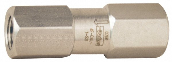 Check Valve: 1" Pipe