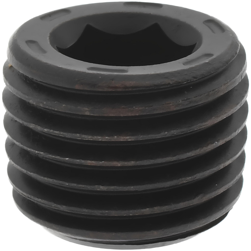 Value Collection 233007PR 1/4-18, 13/32" OAL, Alloy Steel Socket Pressure Plug Image