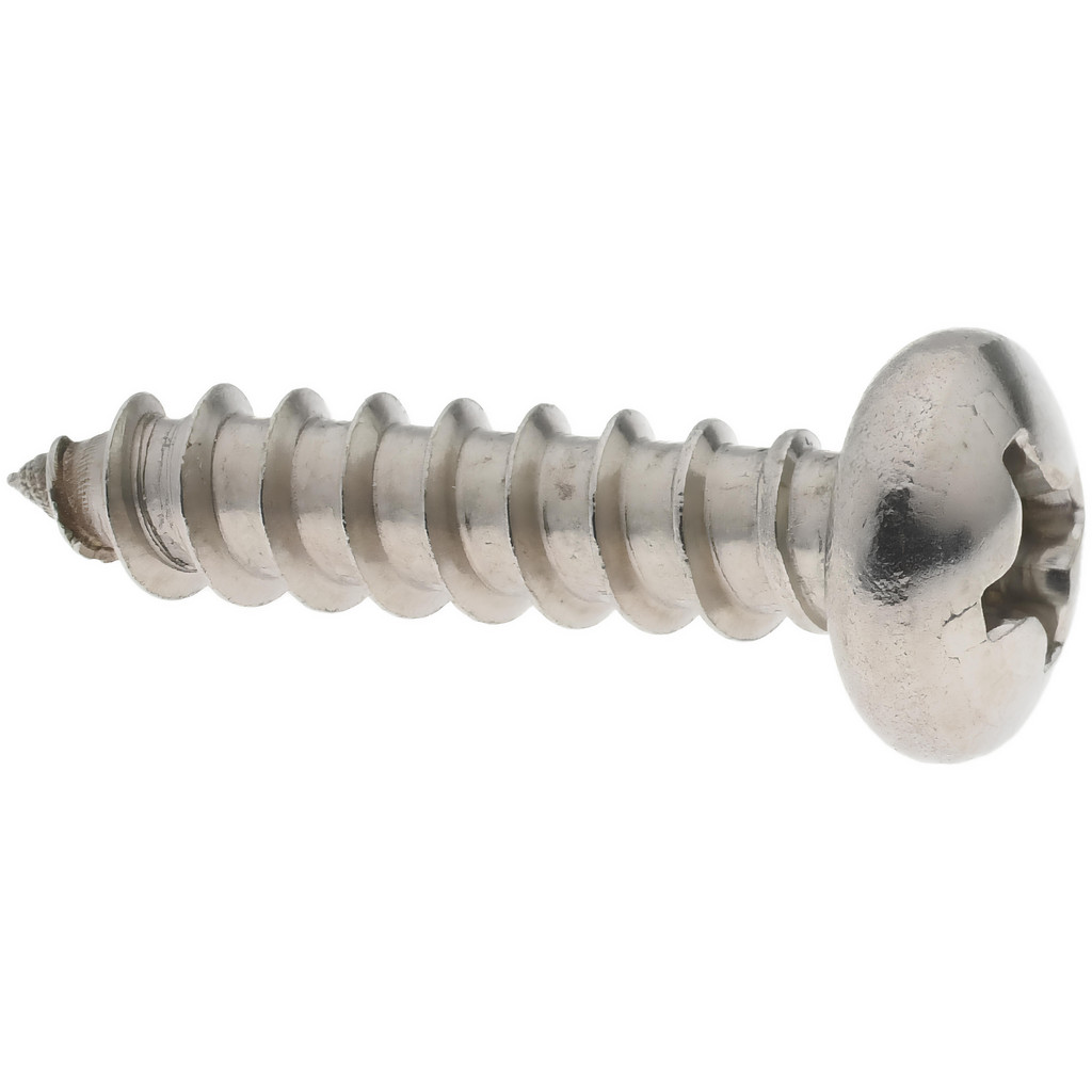 550 Piece Sheet Metal Screw Storehouse