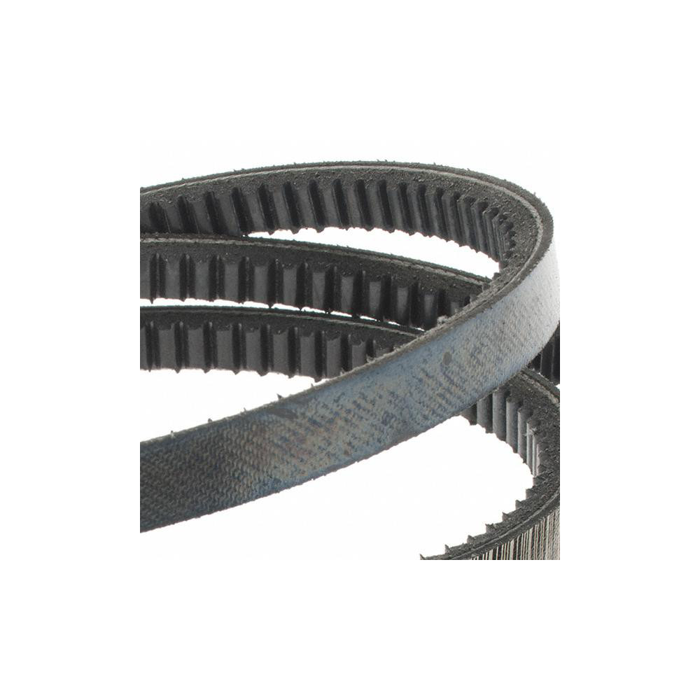 V-Belt: CONTITECH AVX10X1013 -compatibility, Features, Prices - View #6