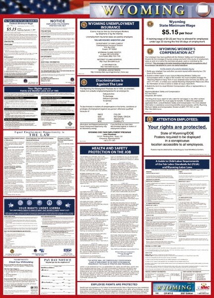 24" Wide x 40" High Laminated Paper Labor Law Information Poster