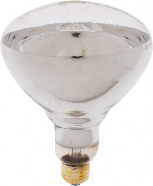 Incandescent Lamp: 250W, Medium Screw Base, BR40 Lamp