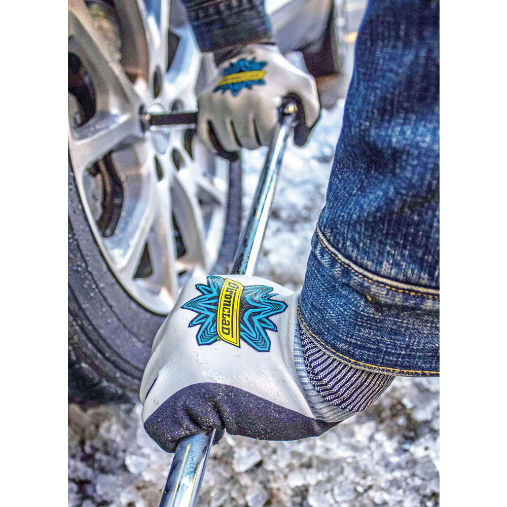 ironClad product image