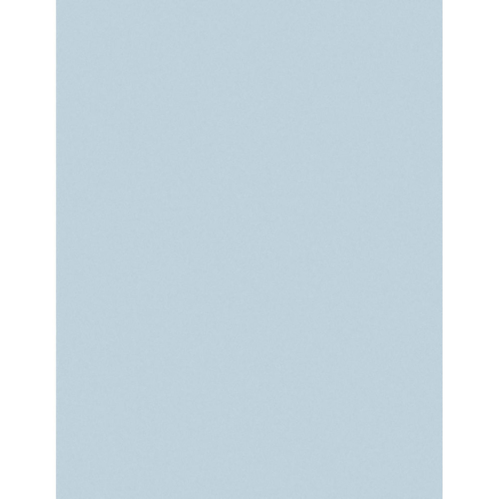 Sanding Sheet: 9 Grit, Aluminum Oxide