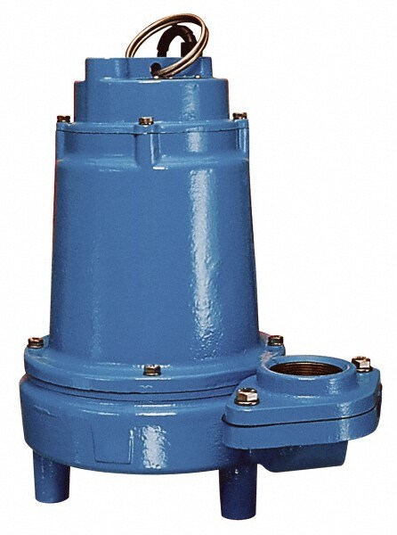 Effluent Pump: Manual, 1 hp, 10 & 10.2A, 230V