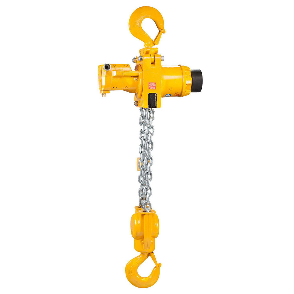 Ingersoll-Rand - LC2A080DIP2C6M5B, 8 Ton Liftchain Air Hoist, 6M of ...